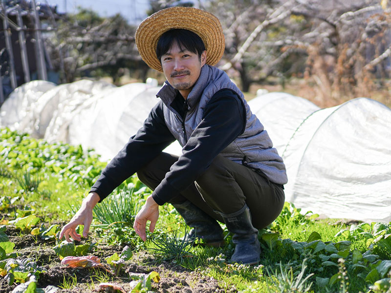 プリンス写真 5