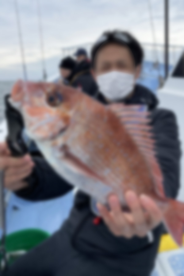 プリンス写真 1